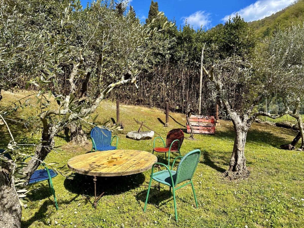 La Sosta In Toscana Bed & Breakfast Camaiore